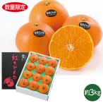  подарок по случаю конца года 2025 подарок лет . фрукты Ehime префектура производство .. какой несессер inageya подарок по случаю конца года . лет ..... зима подарок популярный высококлассный ваш заказ 