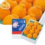  подарок по случаю конца года 2025 подарок лет . фрукты декоративный элемент pon Kumamoto префектура производство декоративный элемент poninageya подарок по случаю конца года . лет ..... зима подарок популярный высококлассный ваш заказ 