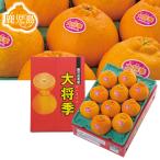  подарок по случаю конца года 2025 подарок лет . фрукты декоративный элемент pon Кагосима префектура производство большой . сезон ( декоративный элемент pon)inageya подарок по случаю конца года . лет ..... зима подарок популярный высококлассный ваш заказ 