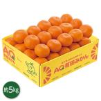  подарок по случаю конца года 2025 подарок лет . фрукты мандарин Wakayama префектура производство AQ Arita мандарин inageya подарок по случаю конца года . лет ..... зима подарок популярный высококлассный ваш заказ 