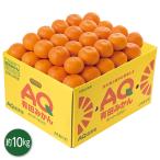 お歳暮 2025 ギフト 歳暮 フルーツ みかん 和歌山県産 AQ有田みかん イナゲヤお歳暮 御歳暮 いなげや 冬ギフト 人気 高級 お取り寄せ