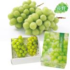 お歳暮 2025 ギフト 歳暮 フルーツ シャインマスカット 長野県産 シャインマスカット1.2kg化粧箱 イナゲヤお歳暮 御歳暮 いなげや 冬ギフト 人気 高級