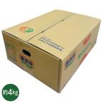  подарок по случаю конца года 2025 подарок лет . фрукты мандарин Kumamoto префектура производство сон будущее мандарин 4kginageya подарок по случаю конца года . лет ..... зима подарок популярный высококлассный ваш заказ 