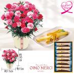 母の日 ギフト カーネーション 鉢植え スイーツ 花 カーネーション（さくらもなか）とOIMO MERCIラングドロール 型番:C40-1 いなげや プレゼント 2026 70代 60代