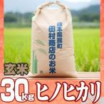 7年産熊本県産ヒノヒカリ玄米30ｋｇ