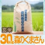 5年産　熊本県産森のくまさん玄米30ｋｇ