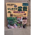 впервые .. бонсай создание person &amp;.. person ( зизифус фирменный Garden Books)