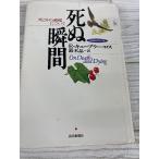 .. момент совершенно новый перевод модифицировано . версия :.. эта процесс относительно .. газета фирма Elizabeth Cube la-* Roth 