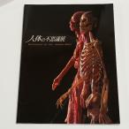  тело человека. тайна ( тело человека. тайна выставка )meti*ishu Kato .