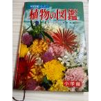  Shogakukan Inc.. учеба иллюстрированная книга серии растения. иллюстрированная книга 