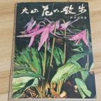  большой гора цветок. прогулка гора . радиовещание . рисовое поле ..