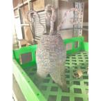  бисер производства подвесной светильник D для бизнеса б/у / бесплатная доставка 