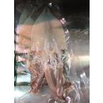  кальмар соленое и высушенное в течение ночи 