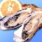  Home pa- Tey Hiroshima производство рефрижератор устрица 1kg