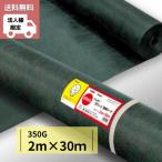 グリーンフィールド ザバーン 防草シート 350 グリーン 幅2mX長さ30m XA-350G2.0  【代金引換不可】【送り先 法人 事業所 事業主様 限定商品 配送制限あり 】