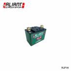 ALIANT アリアント バッテリー Y