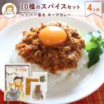 【キーマカレー】ペッパー香る　 10種のスパイスセット　4人前