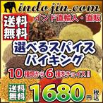 手作りインドカレーを作ろう スパイスのバイキング 選べる基本のスパイスセット 10種から6個チョイス ポイント消化 インドカレー スパイス セット