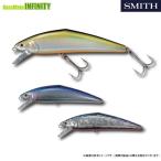 ●スミス SMITH　D-コンタクト 110 【メール便配送可】 【まとめ送料割】