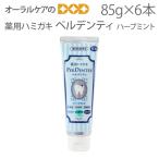 12/5限定！5%OFFクーポン！6本 薬用ハ