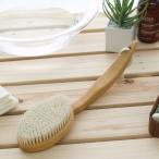 セパレートボディブラシ S&Dタイ�