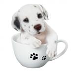 ドッグオーナメント(ダルメシアン)　14089