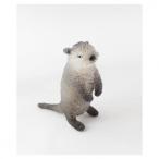 東京かんかん たわしアニマル コツ