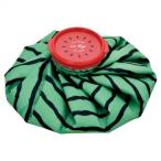 スイカアイスバッグ (M) GREEN グリーン A690GR