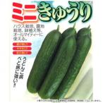 小林種苗 キュウリ種子 小次郎　1　小袋(6粒)