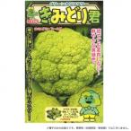 小林種苗 カリフラワー種子 きみどり君　3679　小袋(3