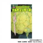 小林種苗 カリフラワー種子 ドルチェリモーネ　4935　