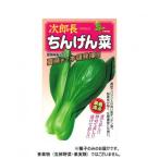 小林種苗 チンゲンサイ種子 次郎長　1　20ml