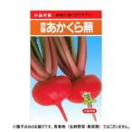 小林種苗 カブ種子 赤茎あかくら　10　1dl