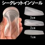 シークレットインソール 男性用 3cm 中敷 身長UP スタイルアップ 透明 シリコン ヒールアップ クッション 左右1ペア 衝撃吸収