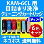 エプソン KAM-6CL-L 用 強力 クリーニ