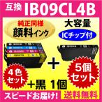 IB09CL4B 4色セット+黒1個 5個セット〔