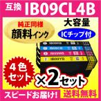 IB09CL4B 4色セット×2セット〔純正同