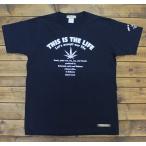 Tシャツ 半袖 メンズ ロゴ＆ヘンプ柄　S M  L XL XXL ロゴ　アメカジ ブランド サーフ メンズ　