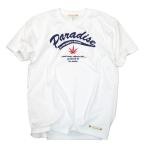 Tシャツ 半袖 メンズ パラダイス ヘンプ柄 ロゴ アメカジ ブランド サーフ メンズ