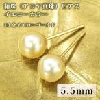 イエロー和珠の18金ピアス♪ ピアス アコヤ真珠（イエロー）5.5mm パール 18金イエローゴールド（K18 YG） ギフト プレゼント