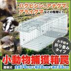 ハクビシン アナグマ アライグマ駆除 対策に効果あり お手軽 折り畳みタイプ ミディアムサイズ 全長79cm 幅28cm 高さ33cm 小動物捕獲用 箱罠