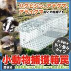 ハクビシン アナグマ アライグマ駆除 対策に効果あり お手軽 折り畳みタイプ スモールサイズ 全長66cm 幅23cm 高さ26cm 小動物捕獲用 箱罠