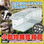 ハクビシン アナグマ アライグマ駆除 対策に効果あり お手軽 折り畳みタイプ ビッグサイズ 全長94cm 幅34cm 高さ37cm 小動物捕獲用 箱罠