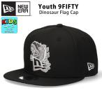  New Era Kids 9FIFTY Dinosaur динозавр колпак ребенок Flat козырек шляпа Youth размер Youth ребенок 950 динозавр колпак зажим задний 