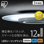 シーリングライト 12畳 LED 照明 おし