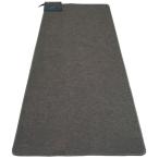 ホットカーペット 1畳 本体 180×90 電気カーペット ホットマット 一人用 電気マット 温度調節 切忘れ タイマー TEKNOS テクノス TWA-1002B *