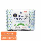 トイレシート 99％除菌 24時間抗菌 ミントのかおり 大判 厚手 蓋シール ケース不要 99.9％除菌流せるトイレクリーナー 12枚×2個パック・ミントの香り
