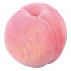 お供え果実 桃 57e4000000012