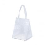 同梱・代引不可 HDシオンバッグSSバイオ 10枚 XZL13T06