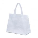 同梱・代引不可 HDシオンバッグMバイオ 10枚 XZL13T08